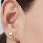 El-estuche-de-aretes-para-mujer-incluye-piezas-doradas-y-plateadas-con-perlas-acrilicas-y-cristales.